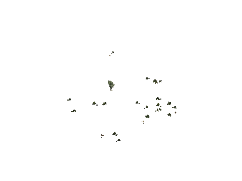 h4_mph4_se_p_5veg04_09_lod
