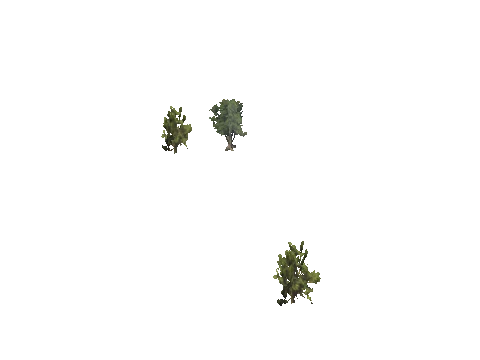h4_mph4_se_p_5veg04_10_lod