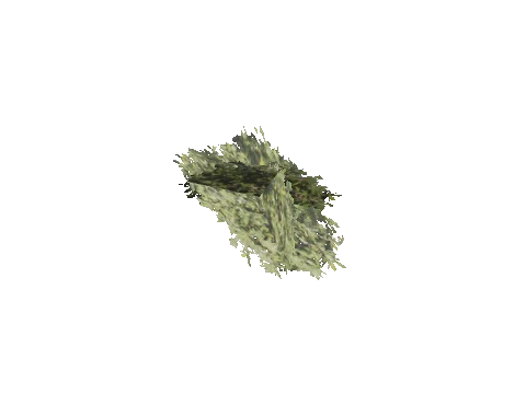 h4_mph4_se_p_5veg04_27_lod