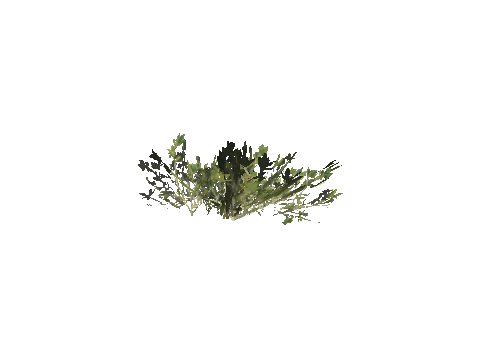 h4_mph4_se_p_5veg04_29_lod