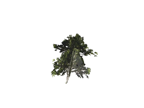 h4_mph4_se_p_5veg04_30_lod