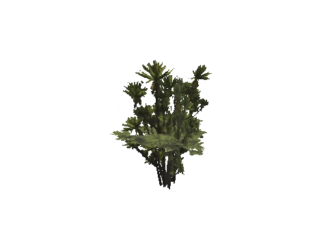 h4_mph4_se_p_5veg04_32_lod