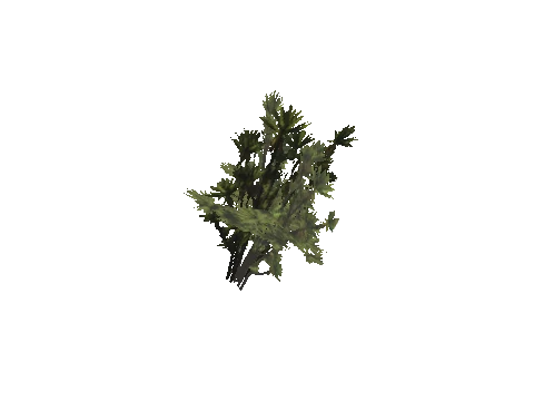 h4_mph4_se_p_5veg04_35_lod