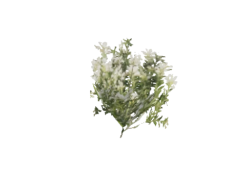 h4_mph4_se_p_6veg01_01_lod