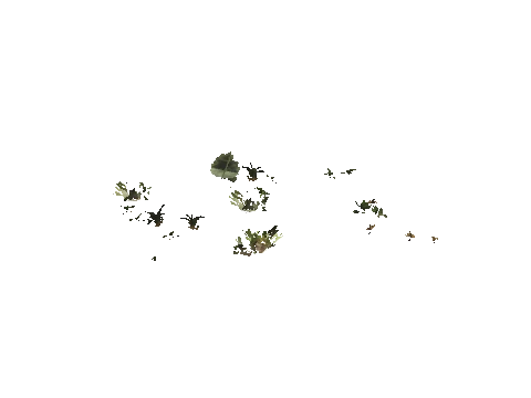 h4_mph4_se_p_6veg01_02_lod