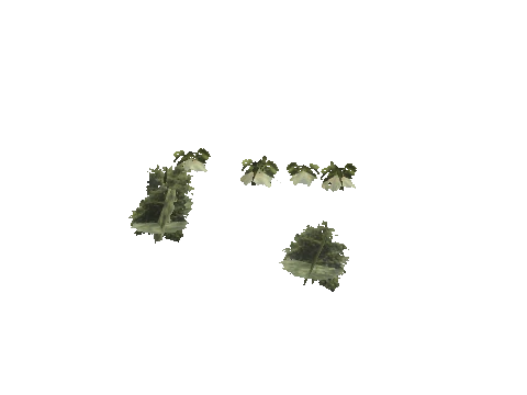 h4_mph4_se_p_6veg01_03_lod