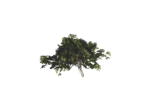 h4_mph4_se_p_6veg01_09_lod