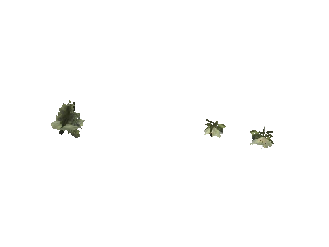 h4_mph4_se_p_6veg01_10_lod