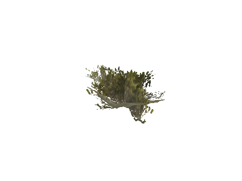 h4_mph4_se_p_6veg01_13_lod