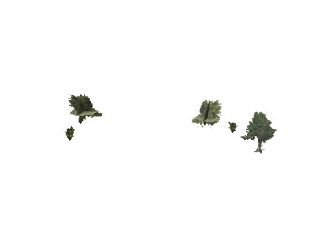 h4_mph4_se_p_6veg01_14_lod