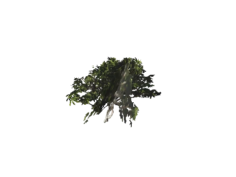 h4_mph4_se_p_6veg01_15_lod