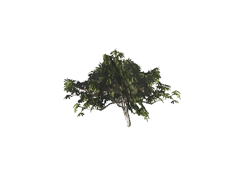 h4_mph4_se_p_6veg01_16_lod