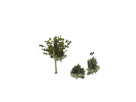 h4_mph4_se_p_6veg04_01_lod