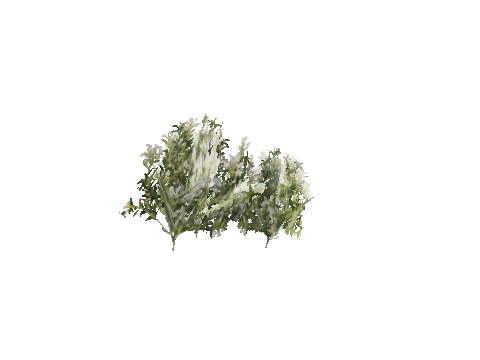 h4_mph4_se_p_6veg04_02_lod