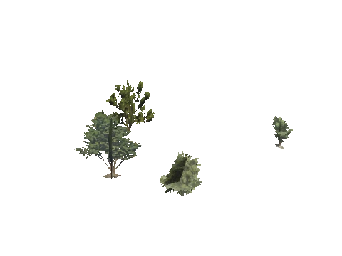h4_mph4_se_p_6veg04_22_lod