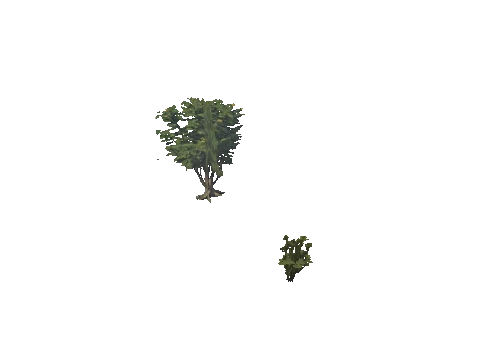 h4_mph4_se_p_6veg04_38_lod