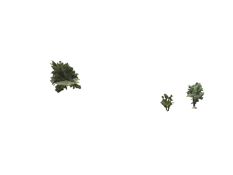 h4_mph4_se_p_6veg04_40_lod