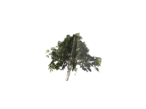h4_mph4_se_p_6veg04_42_lod