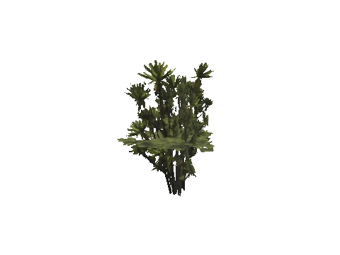 h4_mph4_se_p_6veg04_44_lod