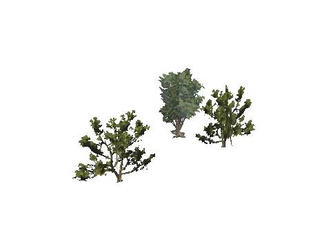 h4_mph4_se_p_6veg04_45_lod