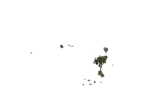 h4_mph4_se_p_7veg01_04_lod