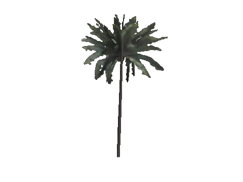 h4_mph4_se_p_7veg01_12_lod