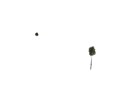 h4_mph4_se_p_7veg01_13_lod