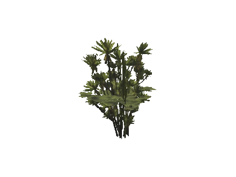 h4_mph4_se_p_7veg01_15_lod