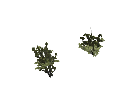 h4_mph4_se_p_7veg01_16_lod
