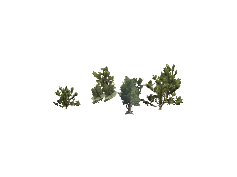 h4_mph4_se_p_7veg02_07_lod