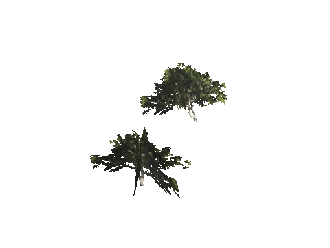 h4_mph4_se_p_7veg02_11_lod