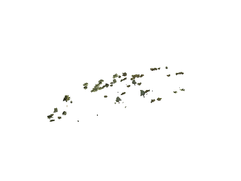 h4_mph4_se_p_7veg03_06_lod
