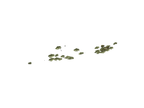 h4_mph4_se_p_7veg03_11_lod