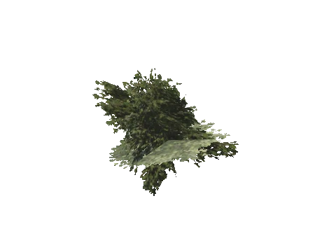 h4_mph4_se_p_7veg03_17_lod