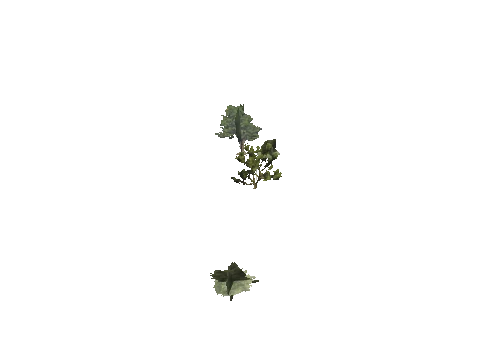 h4_mph4_se_p_7veg03_18_lod