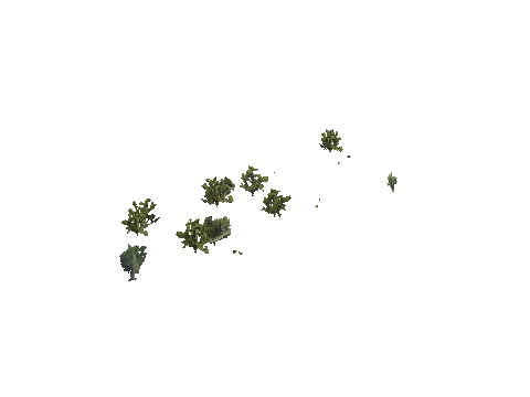 h4_mph4_se_p_7veg03_19_lod