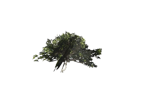 h4_mph4_se_p_7veg03_28_lod