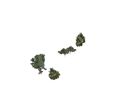 h4_mph4_se_p_7veg03_29_lod