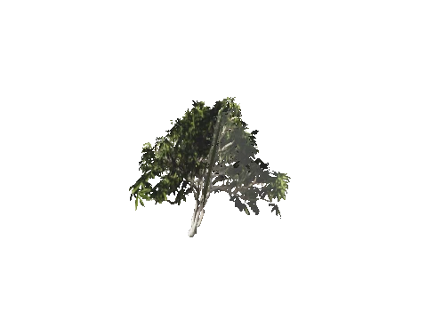 h4_mph4_se_p_7veg03_41_lod
