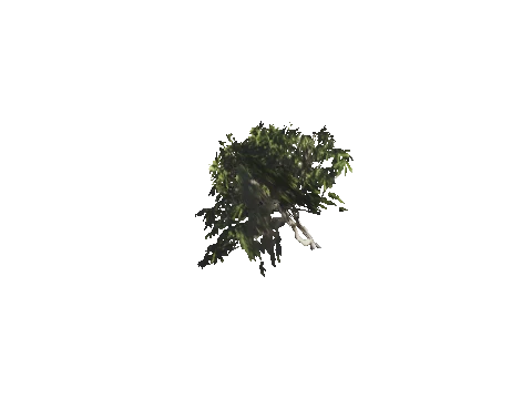 h4_mph4_se_p_7veg03_42_lod
