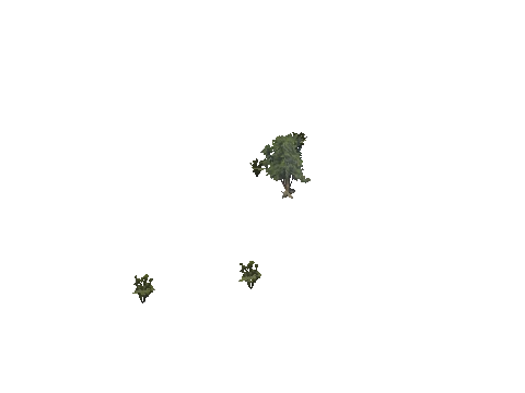 h4_mph4_se_p_7veg03_45_lod