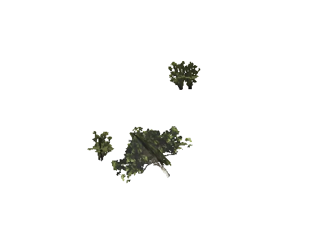 h4_mph4_se_p_7veg03_46_lod