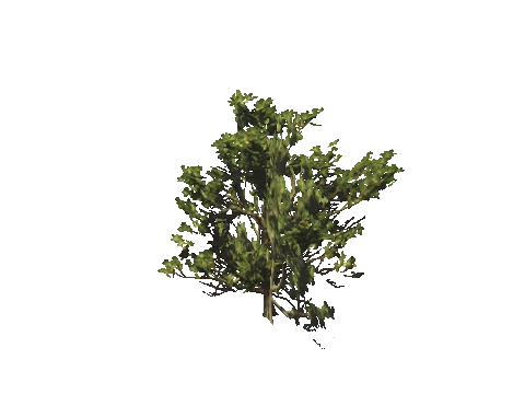 h4_mph4_se_p_7veg03_47_lod