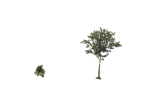 h4_mph4_se_p_8veg01_01_lod