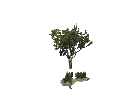 h4_mph4_se_p_8veg01_02_lod