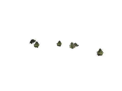 h4_mph4_se_p_8veg01_05_lod