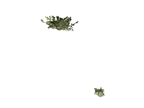 h4_mph4_se_p_8veg01_09_lod