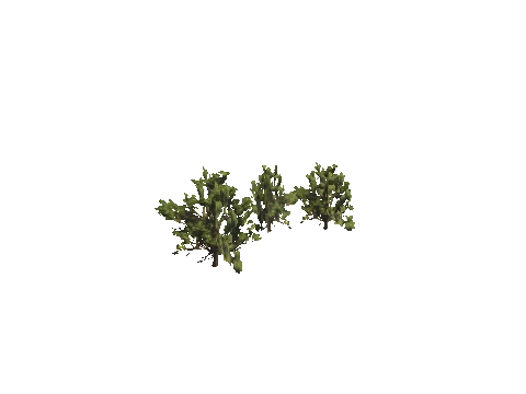 h4_mph4_se_p_8veg01_16_lod