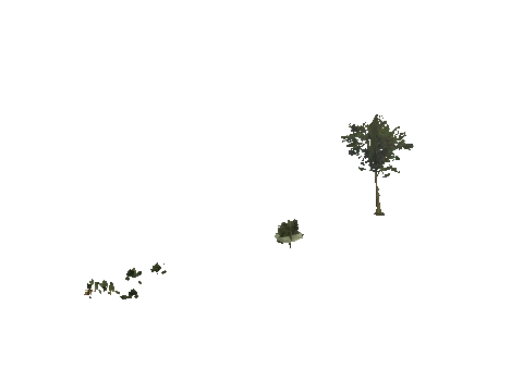 h4_mph4_se_p_8veg02_01_lod