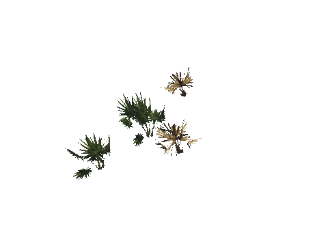 h4_mph4_se_p_8veg02_02_lod
